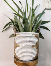 Load image into Gallery viewer, Snake Plant in Large Basket
